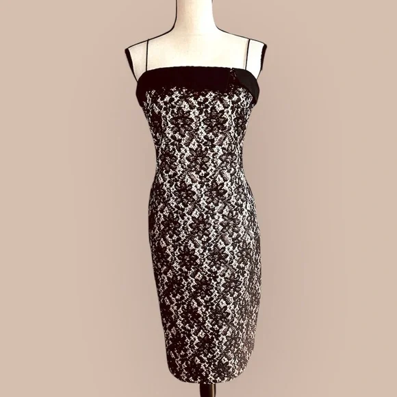 Talbots Lace Sheath Dress - Picture 1 of 10